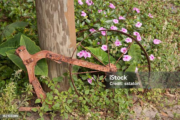 Stary Zardzewiały Pług - zdjęcia stockowe i więcej obrazów Antyczny - Antyczny, Bez ludzi, Fotografika