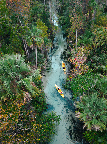 Family Kayaking Florida Springs - High Wide Angle Drone - Florida Freshwater River Springs