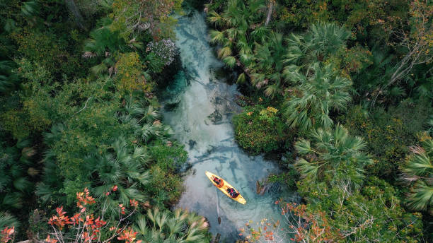 istock Couple Kayaking Florida Springs - High Angle Drone - Florida Freshwater River Springs 1821048403