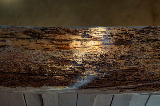 Castilla y León, Spain. A wood beam affected by woodworm, covered in plastic after the application of fungicidal liquid for woodworm removal.