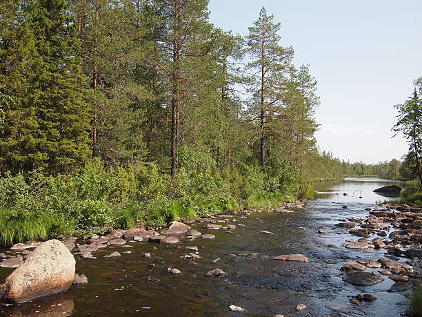 istock Coast of the river 182109041