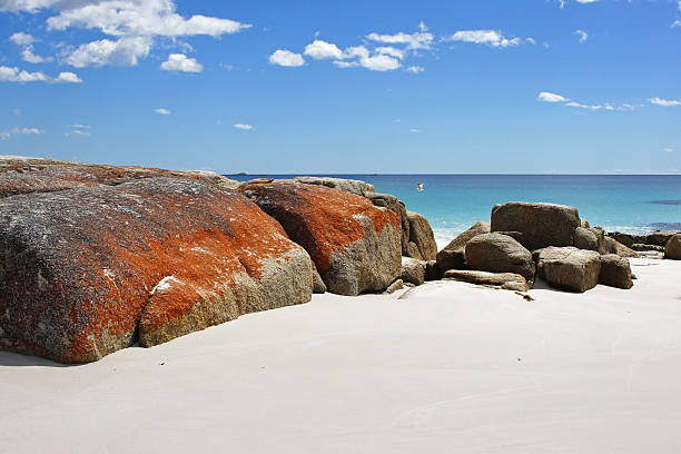 istock Bay of Fires, Tasmania, Australia 182109226