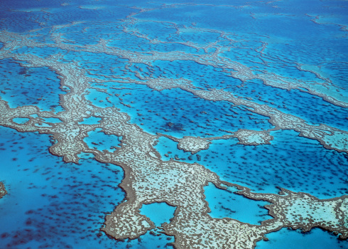 Great Barrier Reef, Queensland,Australia.coral hardy reef.