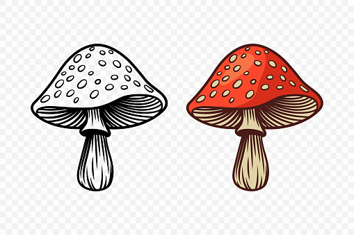 istock Vector Hand Drawn Cartoon Fly agaric, Toadstool Mushroom with Outline Icon Set Isolated. Mushroom Illustration, Mushrooms Collection. Magic Mushroom Symbol, Design Template 1821215083
