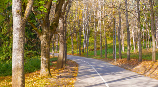 istock Road lane in autumn park 1821245094