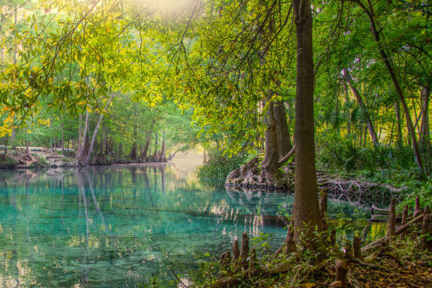 Everglades National Park Lagoon