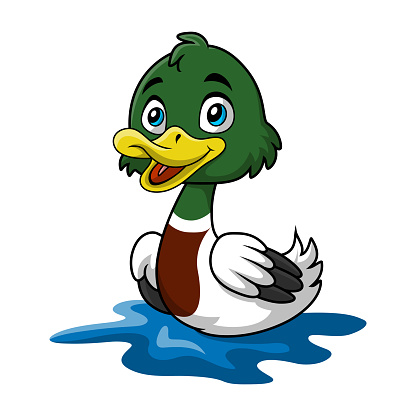 Vector illustration of Cute duck cartoon on white background