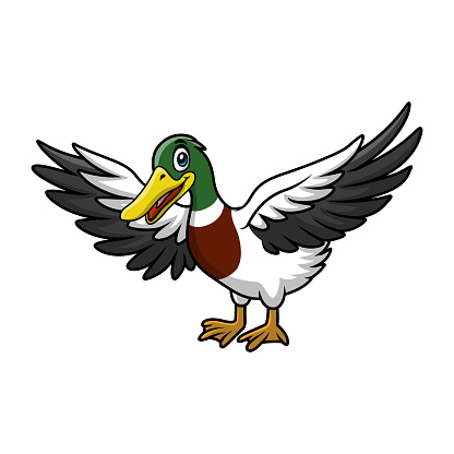 Vector illustration of Cute duck cartoon on white background