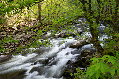 Waterfalls at Little River in Spring, Great Smoky Mountains National Park, USA