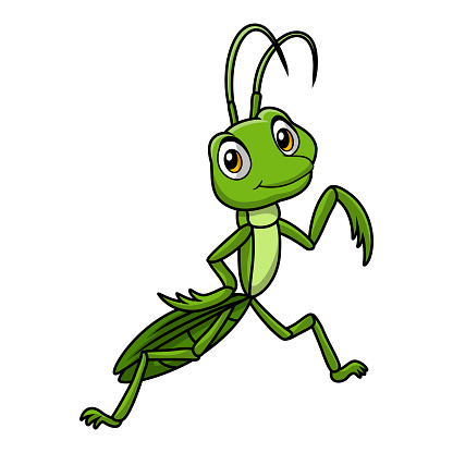 Vector illustration of Cute mantis cartoon on white background