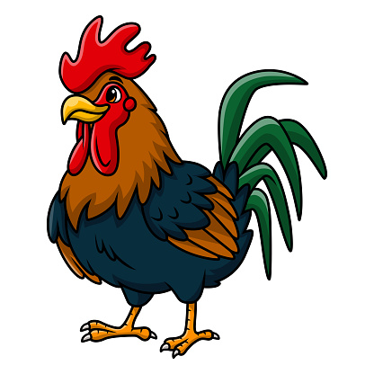 Vector illustration of Cute rooster cartoon on white background