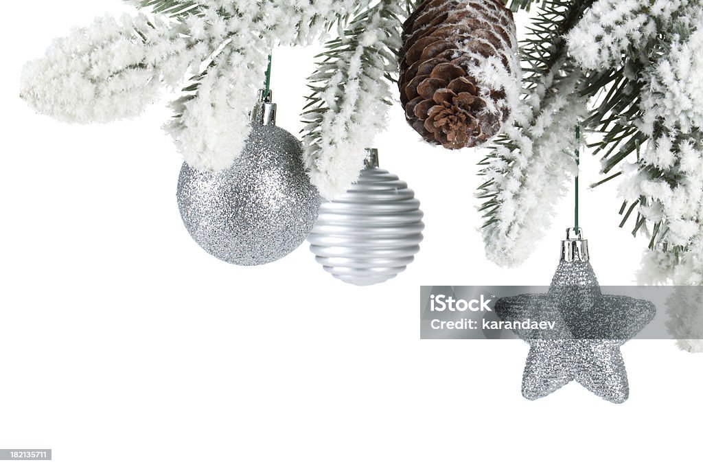 Galho de árvore-de-Natal coberto de neve - Foto de stock de Artigo de decoração royalty-free