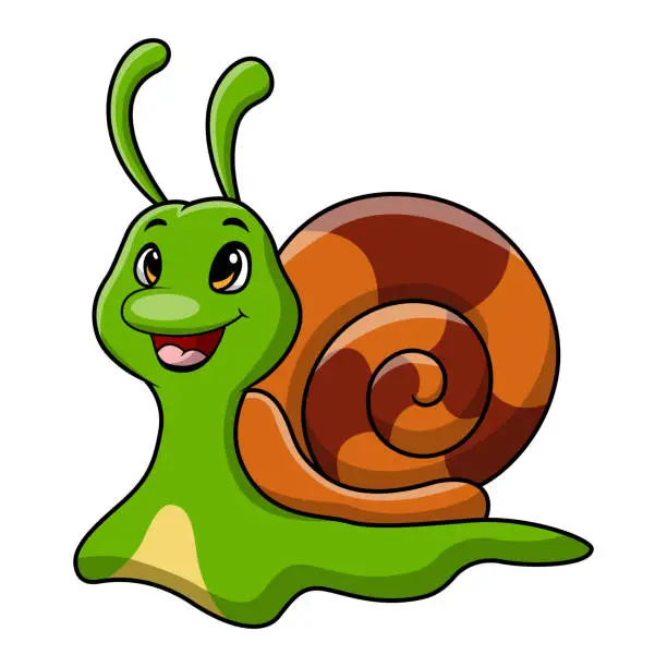 Vector illustration of Cute snail cartoon on white background