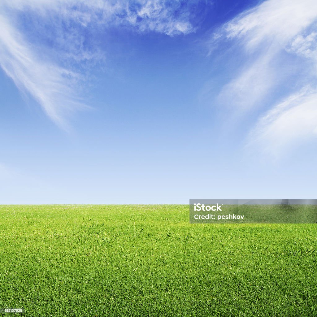 Herbe verte et ciel - Photo de Beauté libre de droits