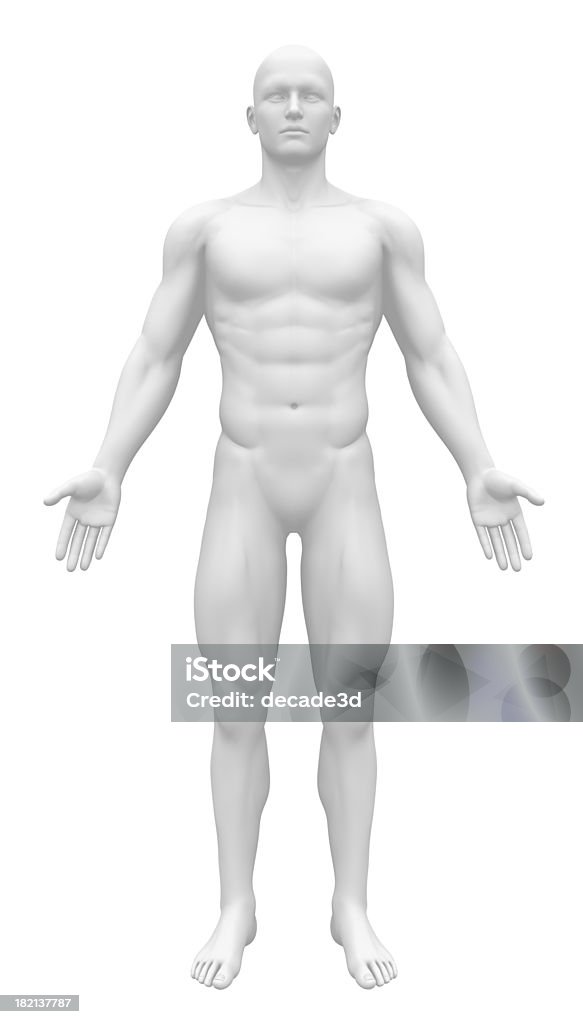 Blank Anatomy Figure - Front view Anatomy Stock Photo