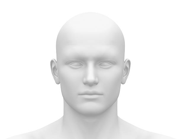 Blank White Male Head - Front view Blank White Male Head - Front view decade stock pictures, royalty-free photos & images