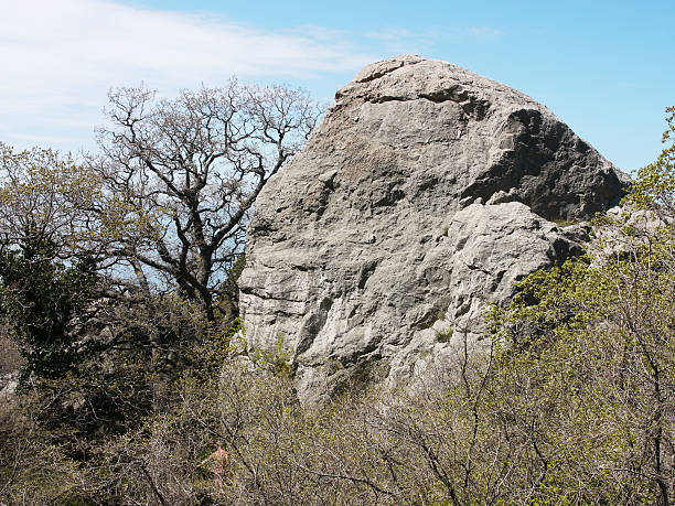 arbre, sky et rock - beautiful tree day rock photos et images de collection