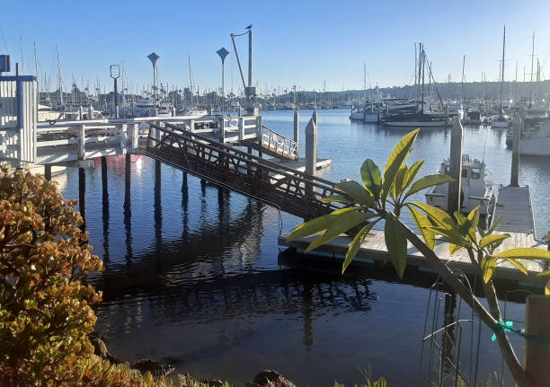 istock Early morning in San Diego Bay. 1821392446