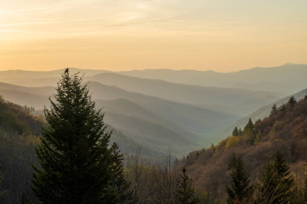 istock Oconaluftee Valley Overlook at dawn 1821407716