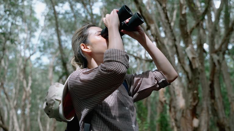 Asian female researcher traverses a mangrove forest to document the flora and fauna and the landscape and environment in the area of mangrove forests for further research to develop knowledge