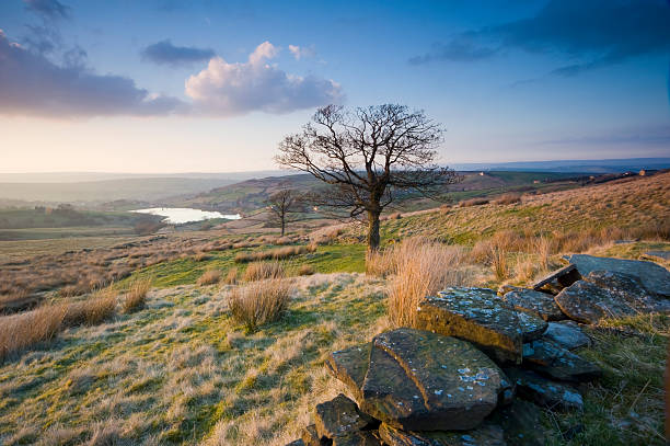 istock Yorkshire Dales Moorland Scene 182144108