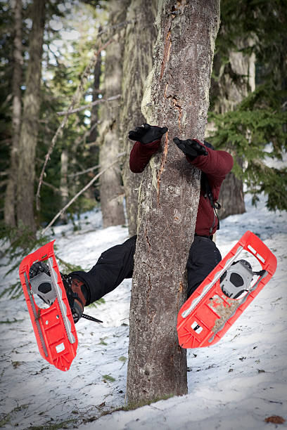 juegue un árbol sobre snowshoes - winter snowshoeing running snowshoe fotografías e imágenes de stock