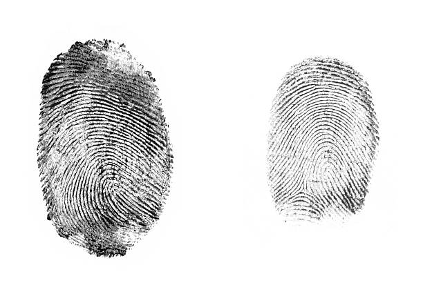 fingerprints stock photo