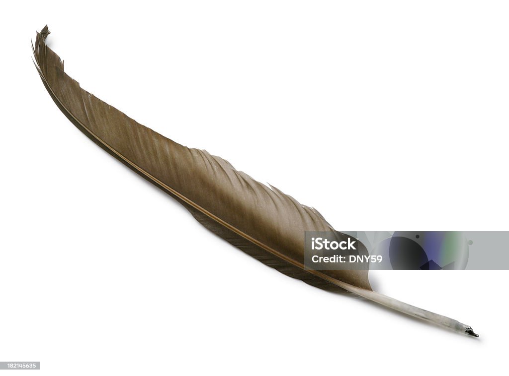 Feather Quill, isoliert auf weißem Hintergrund - Lizenzfrei Alt Stock-Foto