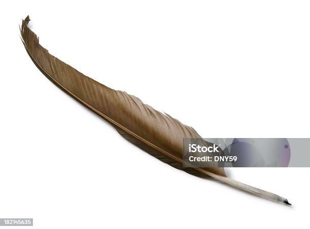 Feather Quill Isoliert Auf Weißem Hintergrund Stockfoto und mehr Bilder von Alt - Alt, Altertümlich, Antiquität