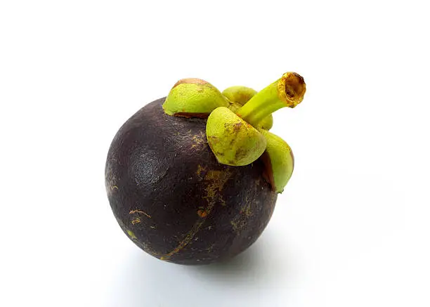 "Mangostan - A Malaysian evergreen tree (Garcinia mangostana) having thick leathery leaves and large edible berries. The berry of this tree, having a hard rind and five to seven seeds with a sweet juicy aril."