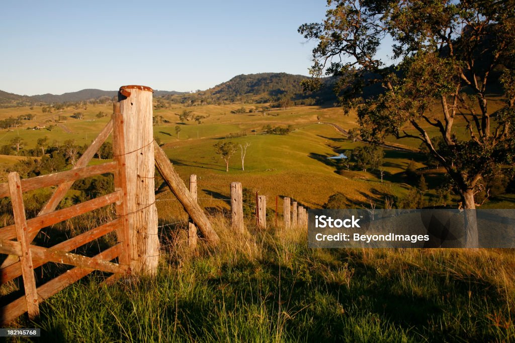 Late afternoon rural view "Lush landscape in late afternoon with old wooden gate and fence in foreground running downhill. Large tree on right, green farmlands, country road, rolling hills. Idyllic scene, soft light, long afternoon shadows." New South Wales Stock Photo