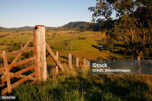 Late Afternoon Rural View Stock Photo - Download Image Now - New South Wales, Rural Scene, Australia