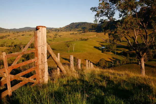 "Lush landscape in late afternoon with old wooden gate and fence in foreground running downhill. Large tree on right, green farmlands, country road, rolling hills. Idyllic scene, soft light, long afternoon shadows."