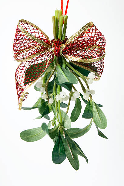 Mistletoe