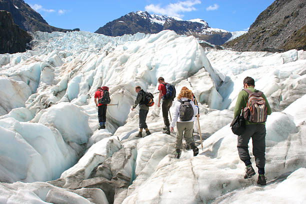 Glacier Hikers  franz josef glacier photos stock pictures, royalty-free photos & images