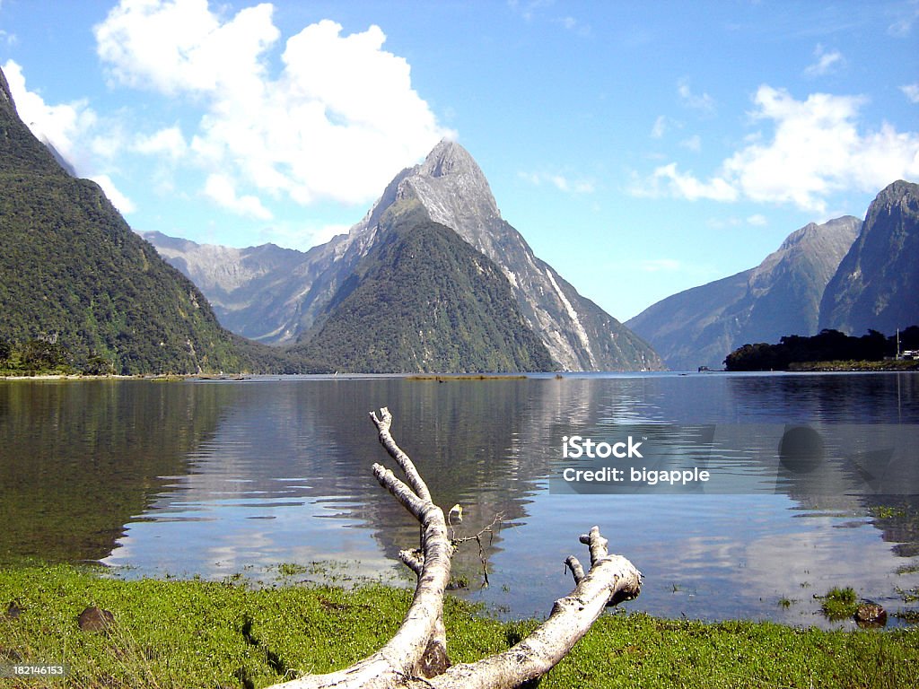 Milford Sound-Nova Zelândia - Foto de stock de Milford royalty-free