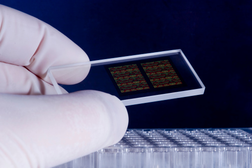 Dna Microarray Chip Original Dna Microarray Chips Stockfoto und mehr Bilder von Nanotechnologie ...