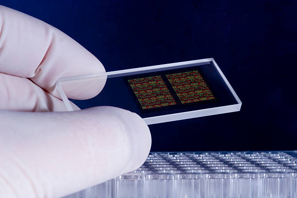 DNA microarray chips stock photo
