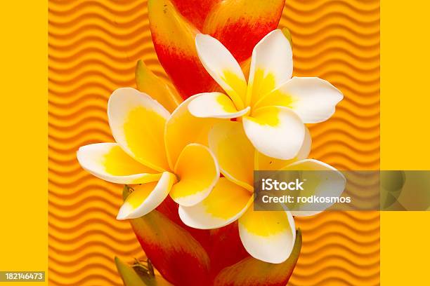 Foto de Tropic Ondas e mais fotos de stock de Amarelo - Amarelo, Beleza, Beleza natural - Natureza