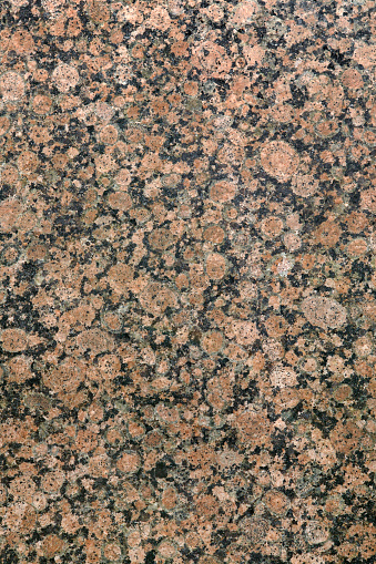 Highly textured brown granite