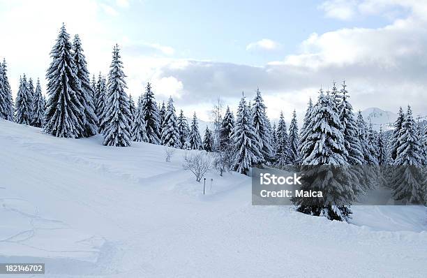 Зима — стоковые фотографии и другие картинки Белый - Белый, Возвышенность, Время