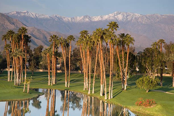пустыня golf resort - coachella southern california california southwest usa стоковые фото и изображения