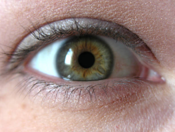 istock Green-eyed beauty 182147004