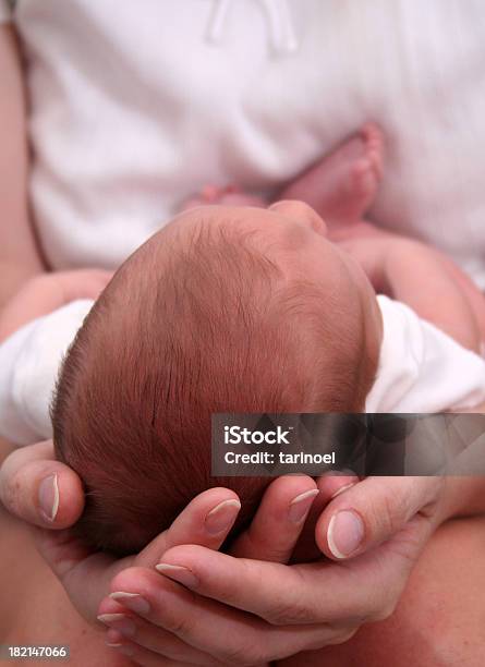 Cuna De La Vida Foto de stock y más banco de imágenes de Madre - Madre, Recién nacido - 0-1 mes, Agarrar