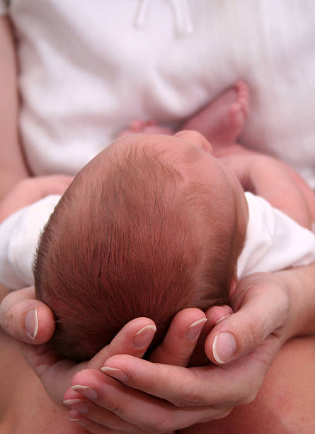 istock Cradle of Life 182147066