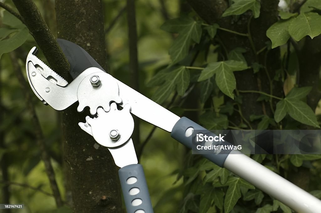 Yunque loppers - Foto de stock de Acero libre de derechos