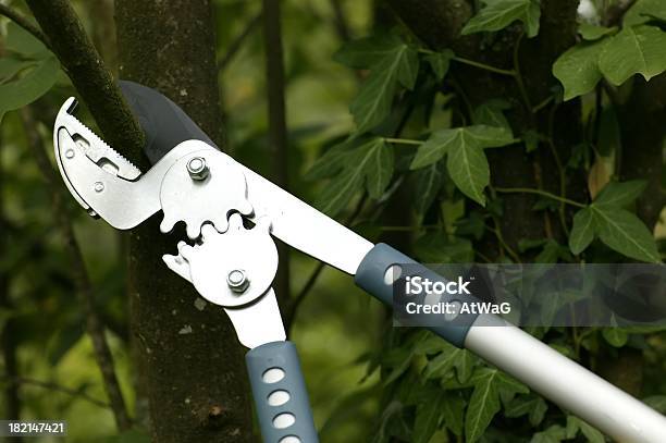 Yunque Loppers Foto de stock y más banco de imágenes de Acero - Acero, Artículos de jardín, Cortar