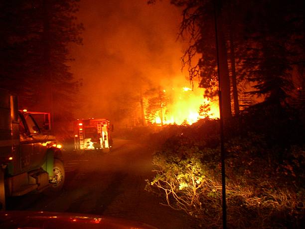 forest fire at night stock photo