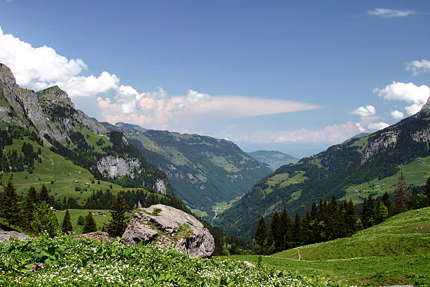 Alpine Valley - foto de acervo