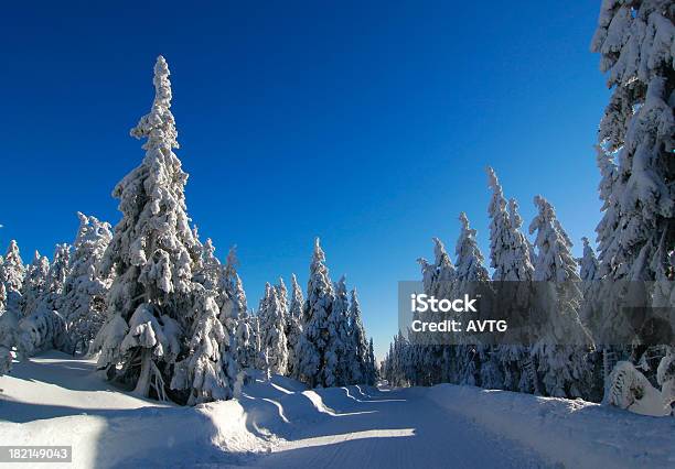 Inverno Strada Ix - Fotografie stock e altre immagini di Abete - Abete, Albero, Ambientazione esterna